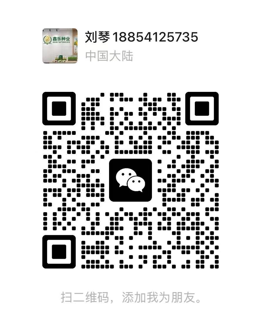 刘琴微信二维码，扫码添加选种咨询